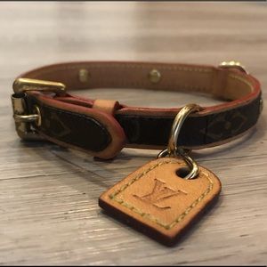 Louis Vuitton Baxter Dog Collar PM